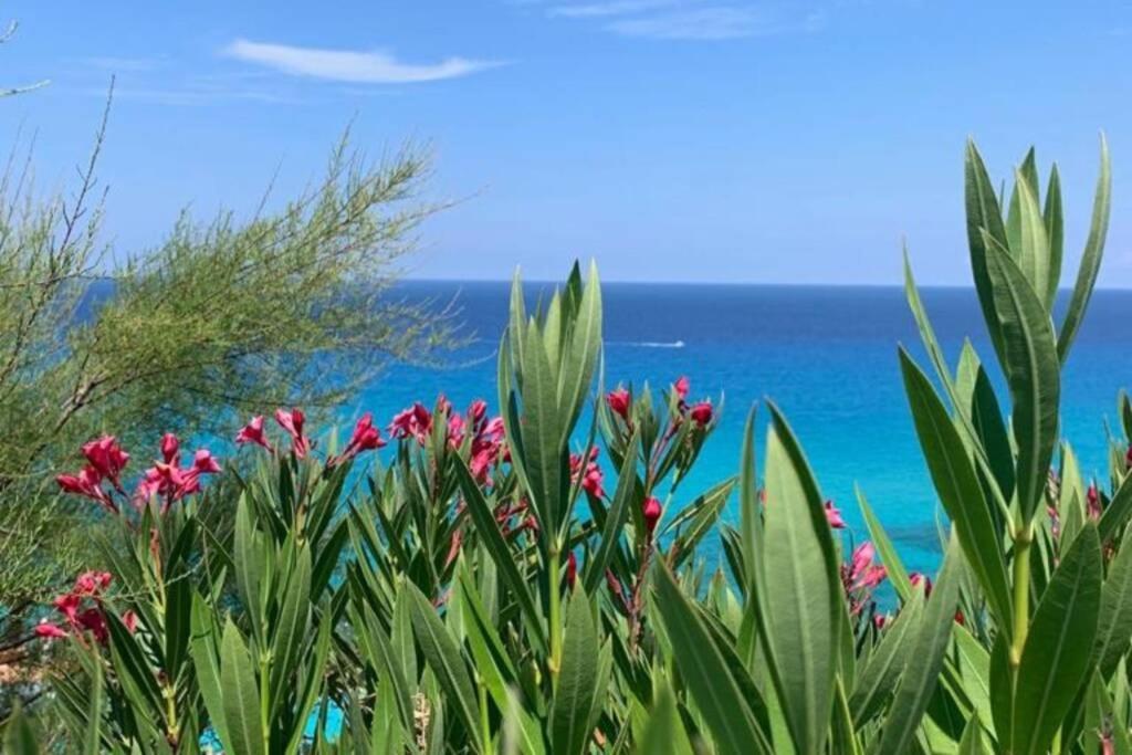 Boutique Apartment With Beach Within Walking Distance, Near Tropea Parghelia Ngoại thất bức ảnh